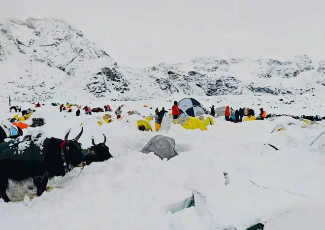 峰东坡生死大逃亡ky开元棋牌珠(图2)