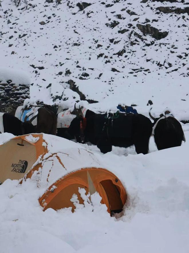 峰东坡生死大逃亡ky开元棋牌珠(图10)