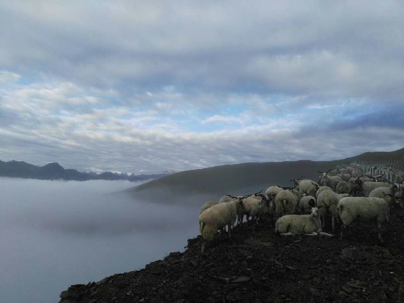 国】达瓦更扎看云海开元棋牌【大美中(图4)