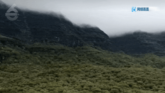 里都难找路！”7人登山迷路被困！开元棋牌试玩“没有村民向导我们夜(图8)